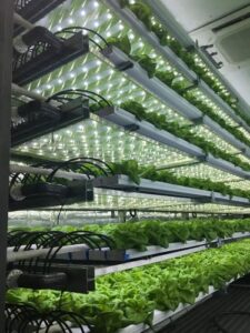 Hydroponics Tower DFT 3